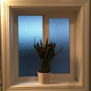 Meet your Posher, Nguyen